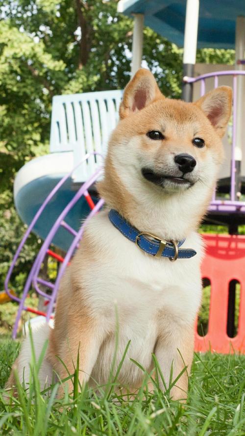 3124ʱͼ۸ÿϵ90Ԫ85Ԫ